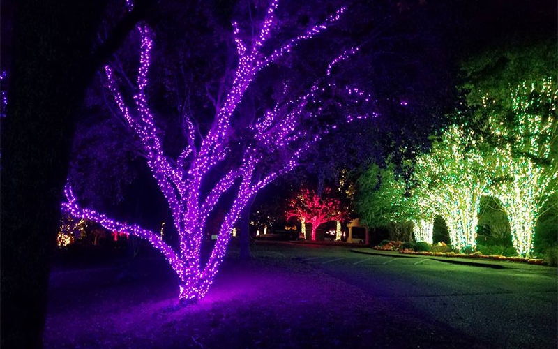 Services nashville tn commercial holiday tree wrap lighting nfu3s18se95lbz8u7n7zisc4dqutiqiiwk10nr5thk